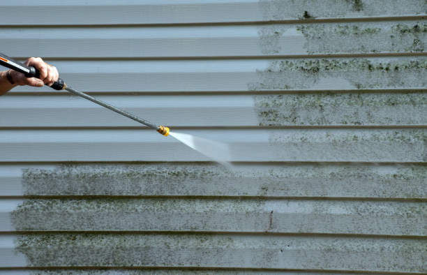 Animal Enclosure Cleaning in Talent, OR